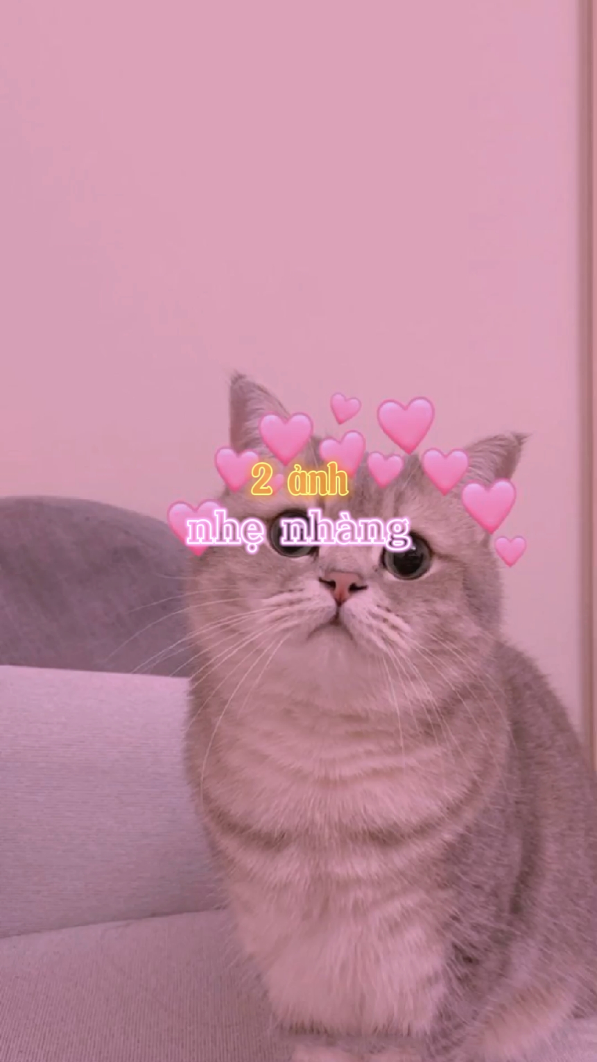 2 ảnh nhẹ nhàng ⁷³
