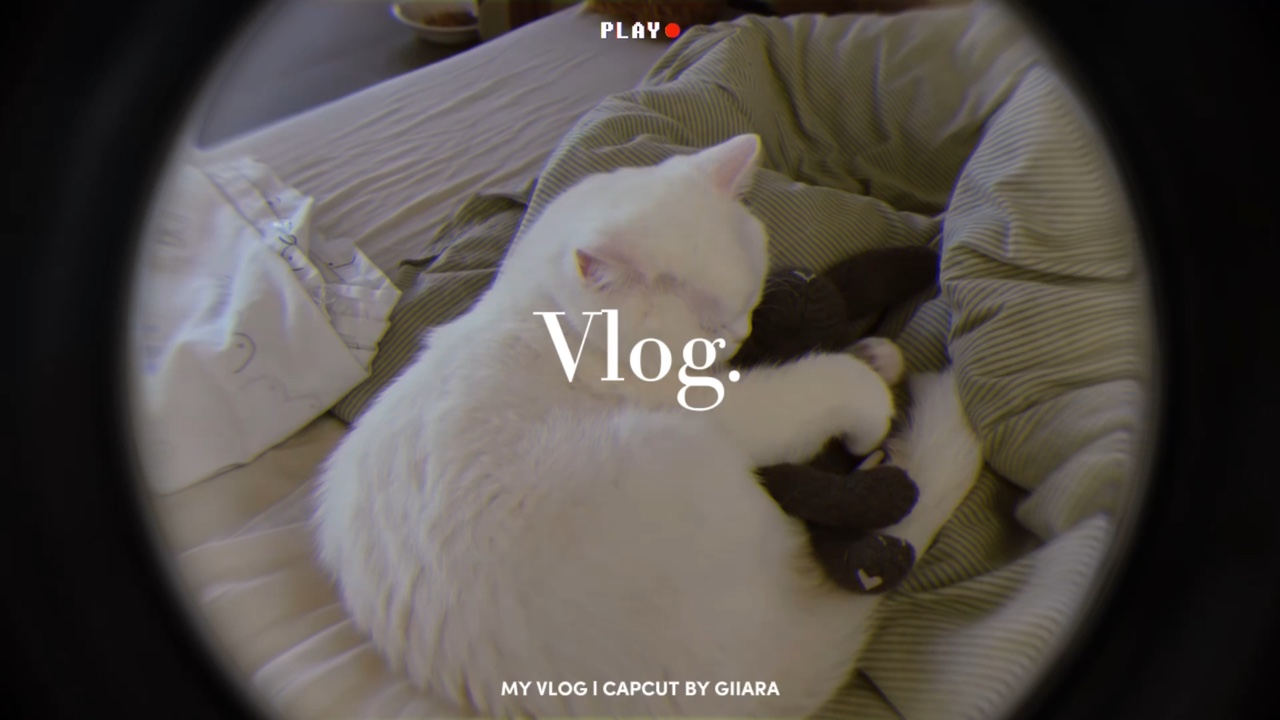 Vlog saya