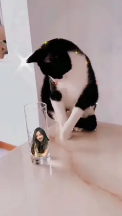 ly nước