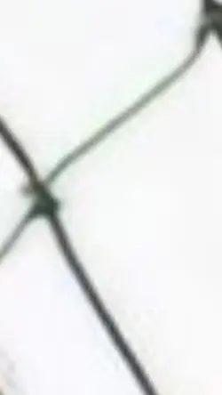 Zoom Lens Tiktok