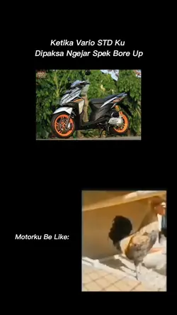 Req Vario Done