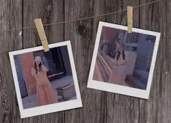 polaroid estetik