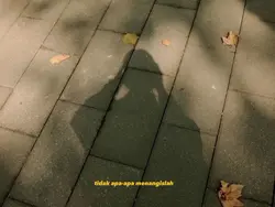 Ost
