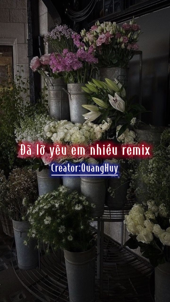 Đã lỡ yêu em nhiều