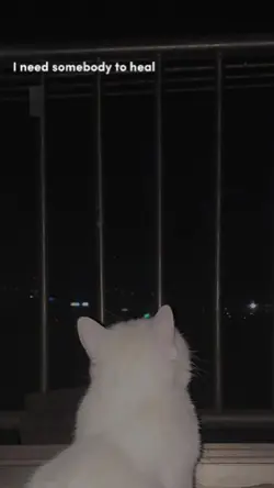 lirik aesthetic 