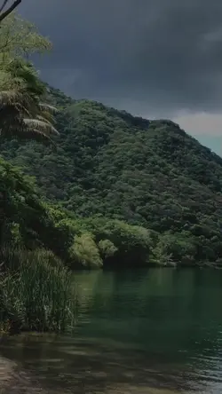 VIBES NATURE