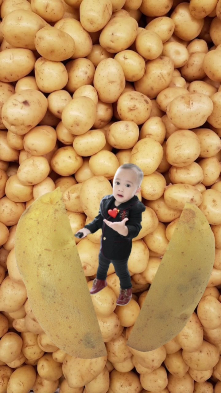 Pommes de terre