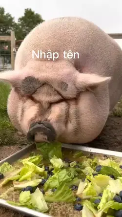 Mẫu troll bạn bè