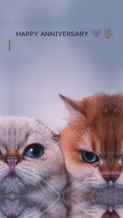ʜᴀᴘᴘʏ ᴀɴɴɪᴠᴇʀsᴀʀʏ 💓