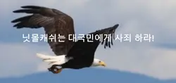 이건 내가 진짜 최초인듯ㅋㅋ