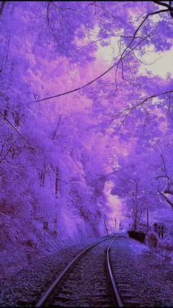 Beat Phong CảnhJapan