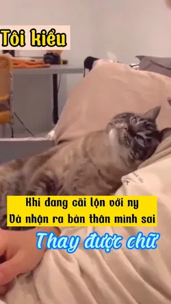 Cãi lộn với người y