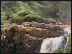 3 random video