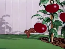 Ném cà chua