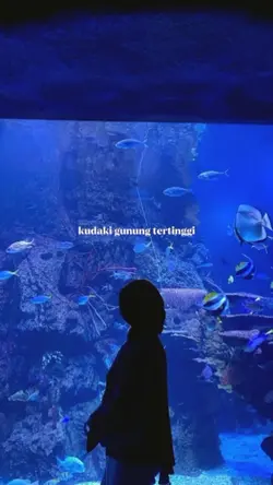 sudah kudaku gunung