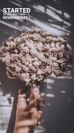 flowers |