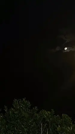 🌕🤍