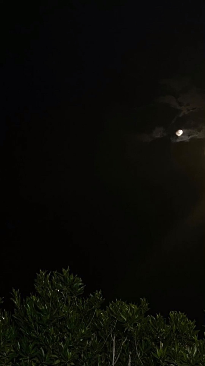 🌕🤍