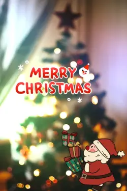 6 Photo christmas