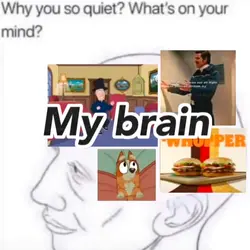 my brain🧠