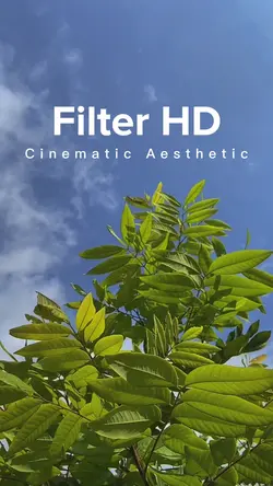 Cinematic HD