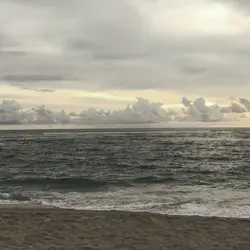 short video