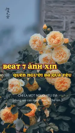 Nhạc Cực Cháy...