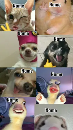 Mẫu nhóm 8 người 