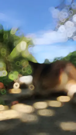 Slowmo