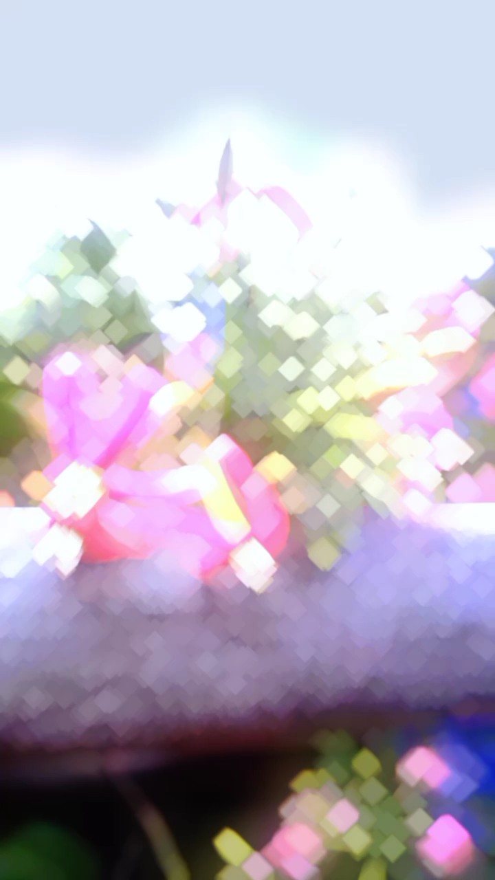 ထွန်းကြိုင်ကလို့ရp