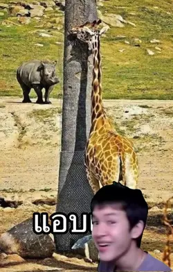 ฉากเขียว