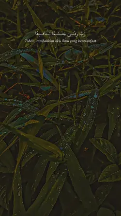 robbizidniilmannafia