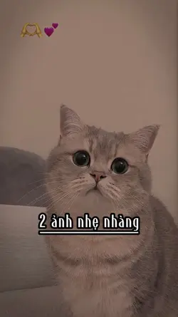 2 ảnh nhẹ nhàng