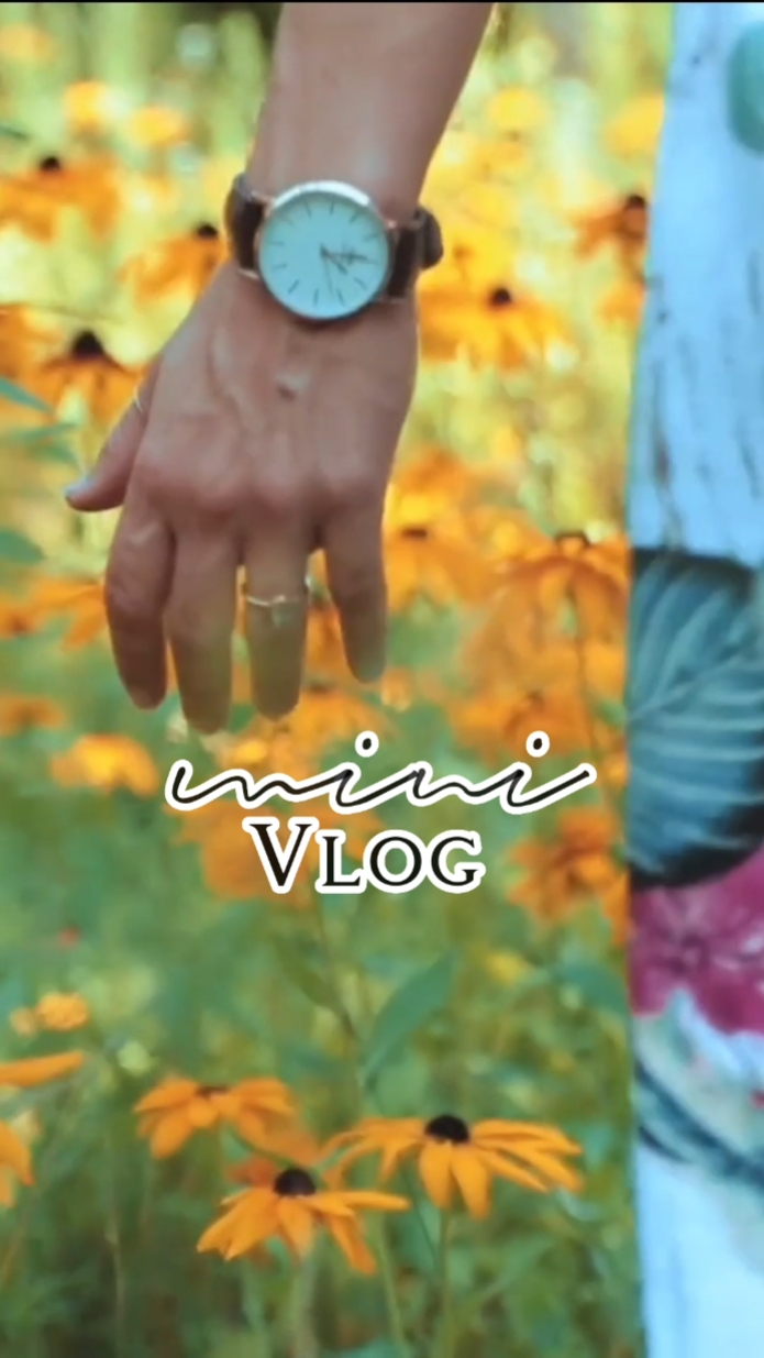 mini vlog 0.5