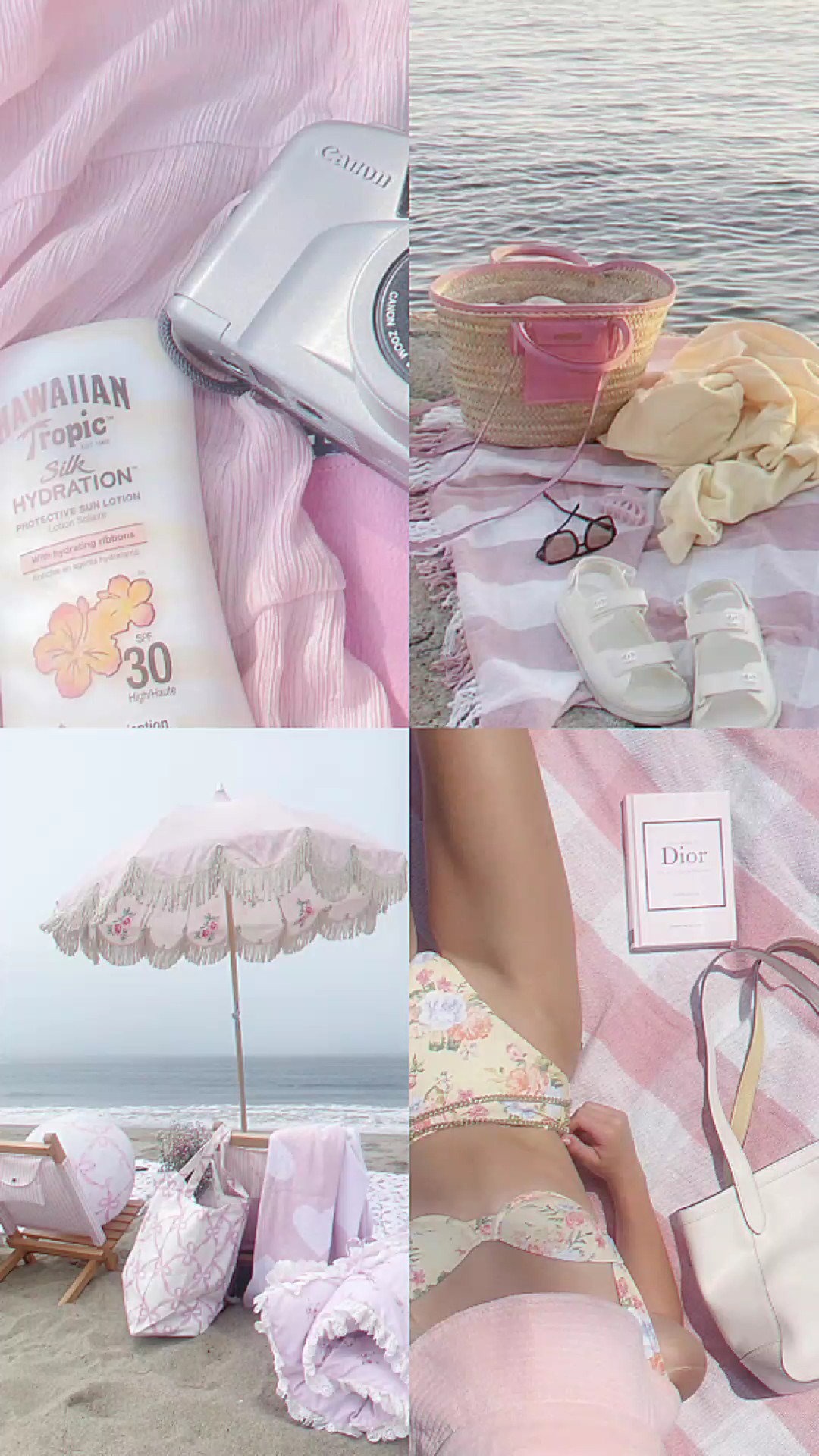 rose | 4 photos 