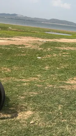 เเนวตั้ง😁