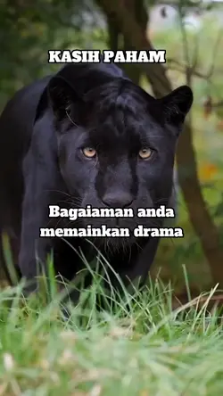 Kasih paham az
