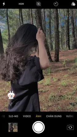 KHUNG STORY + MÀU 