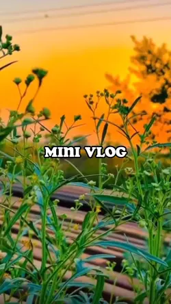 sound viral
