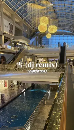 雪-(dj remix)