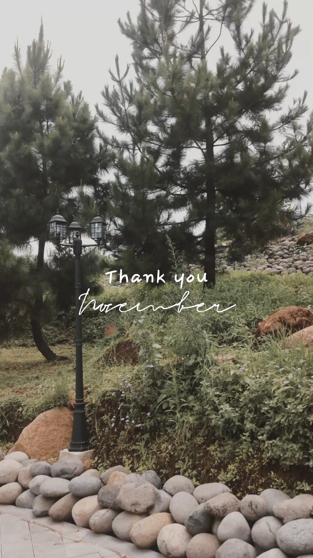 Salamat November 