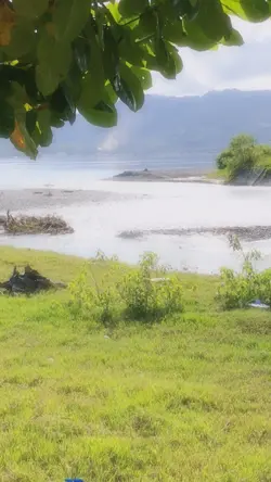 dreamy vlog 9:16 ver