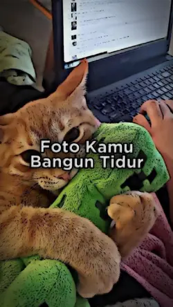 RayaRemix Kece