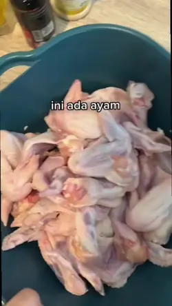 ini ada ayam