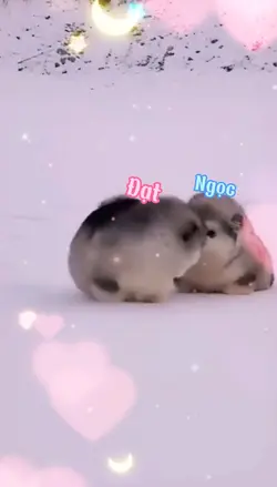 Mẫu cặp đôi