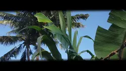 Sinematik Video