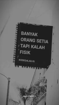 wow fakta