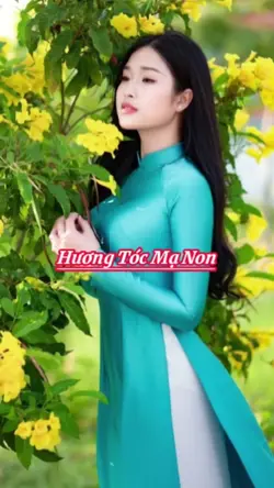 Nhạc Bolero trữ tình
