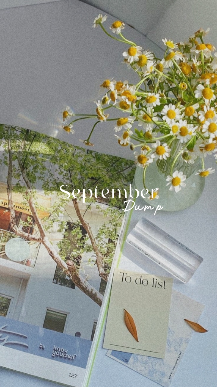 Dump de septembre 40 pieds