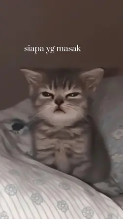 siapa yang masak?! 